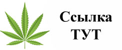 Купить наркотики в Чкаловске